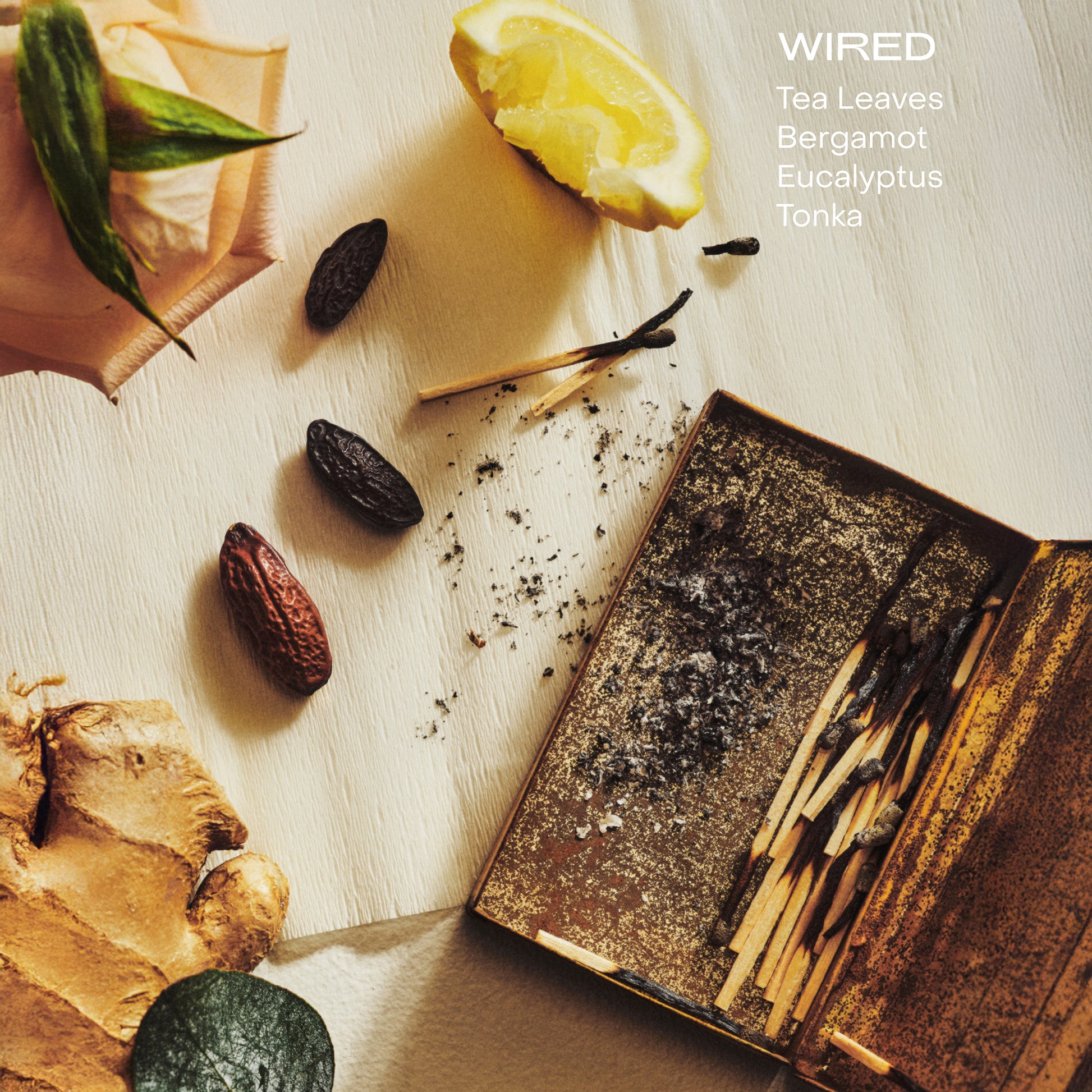 The Body Serum - Wired