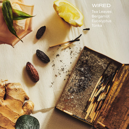 The Body Serum - Wired