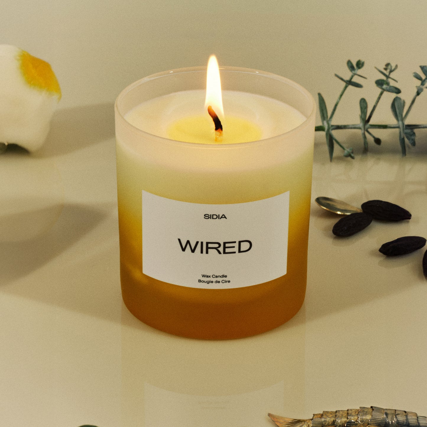 Candle - Wired