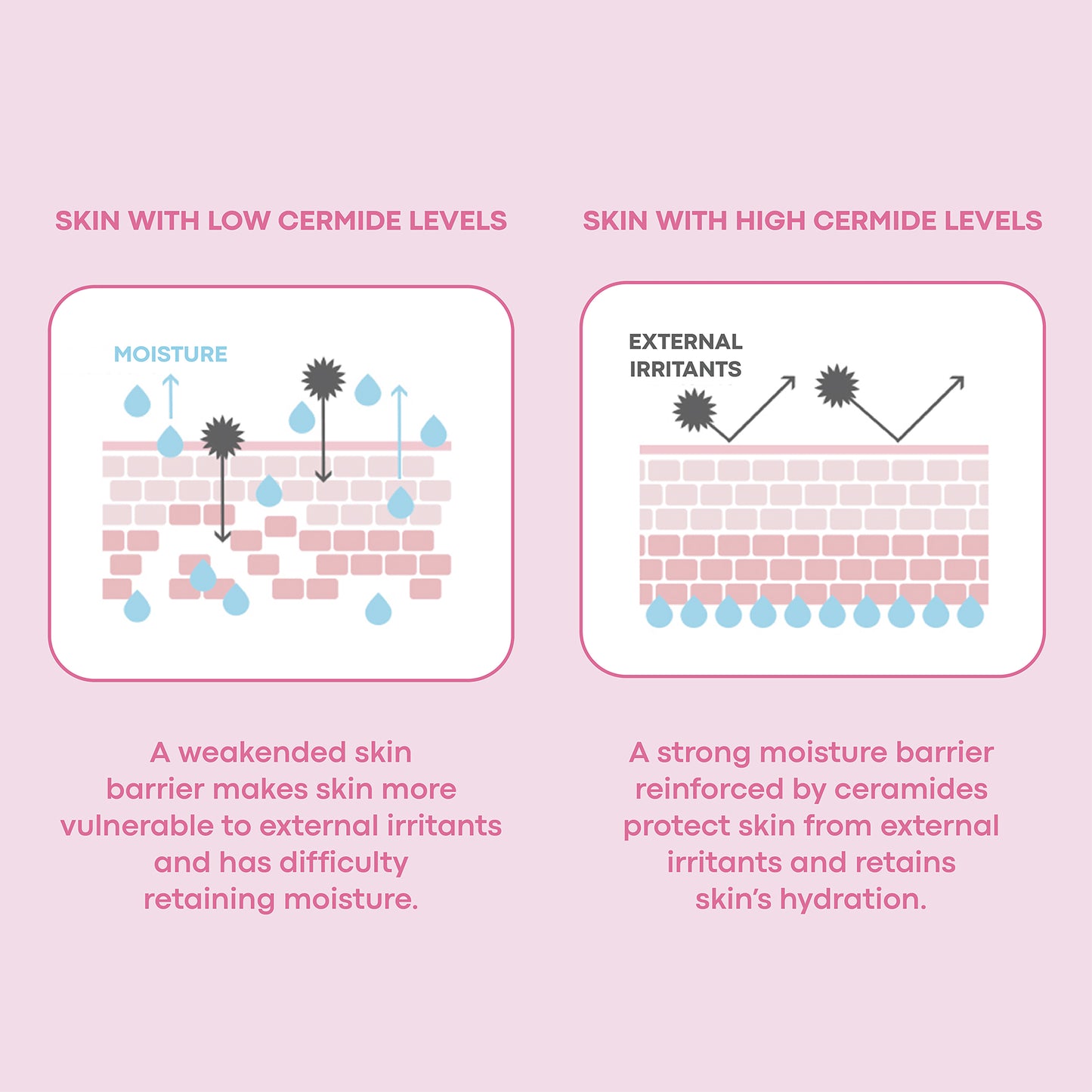 Mochi Milky Toner Set