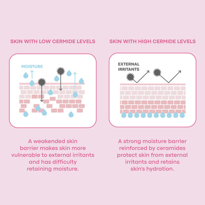 Mochi Milky Toner Set