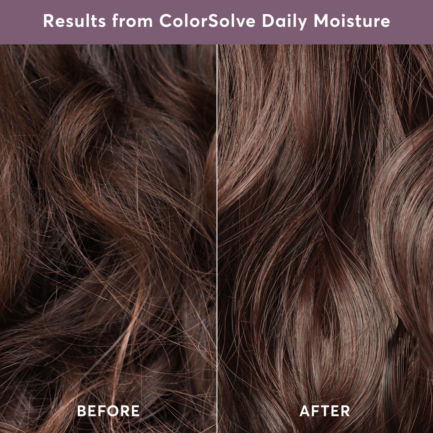 ColorSolve - Daily Moisture - Conditioner