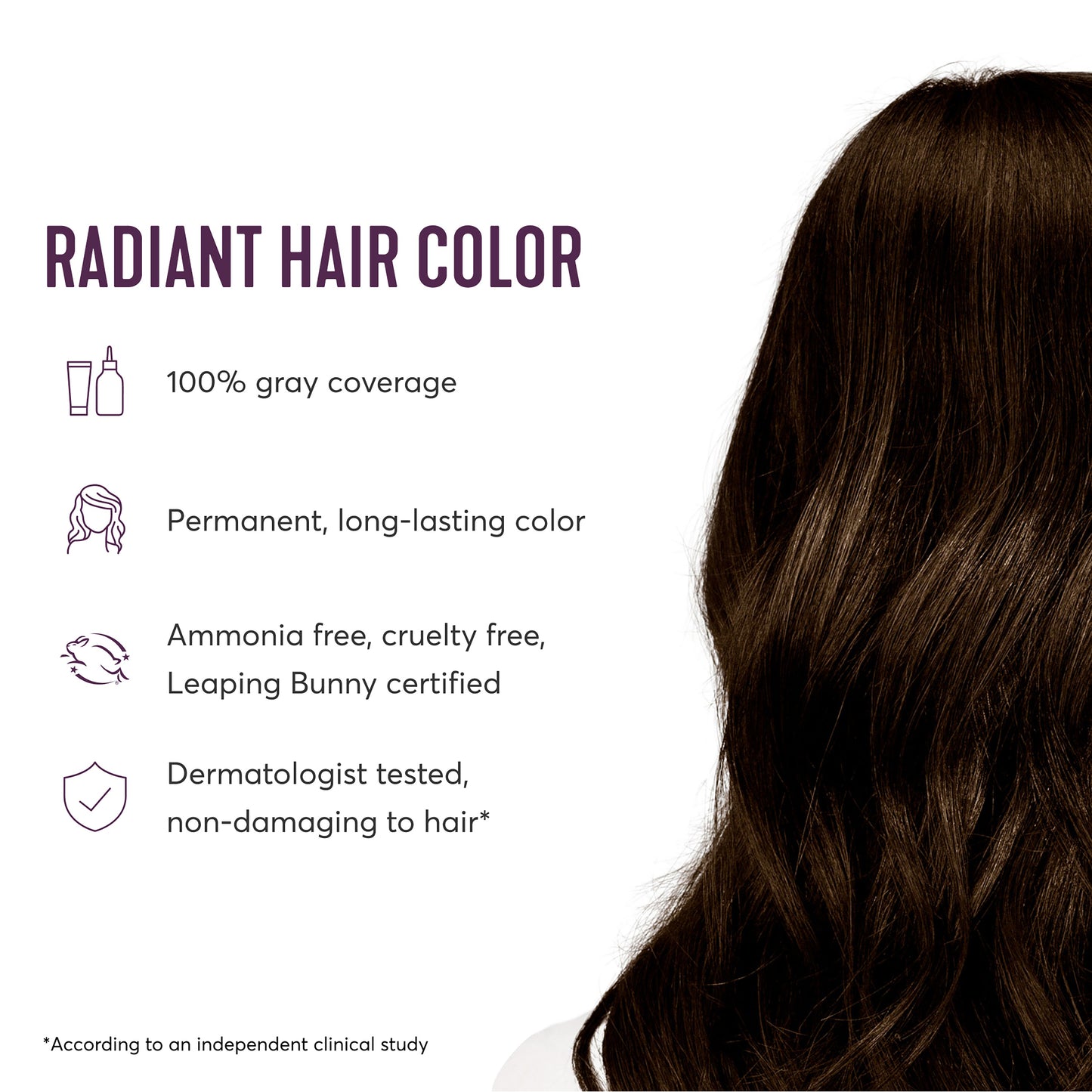 Radiant Hair Color Kit