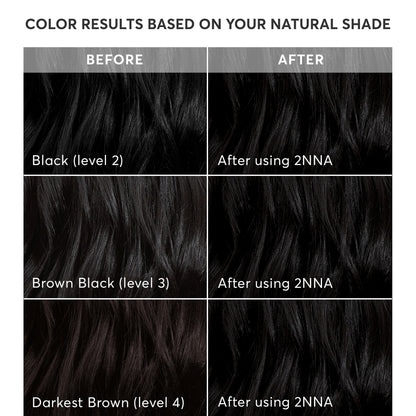 Radiant Hair Color Kit