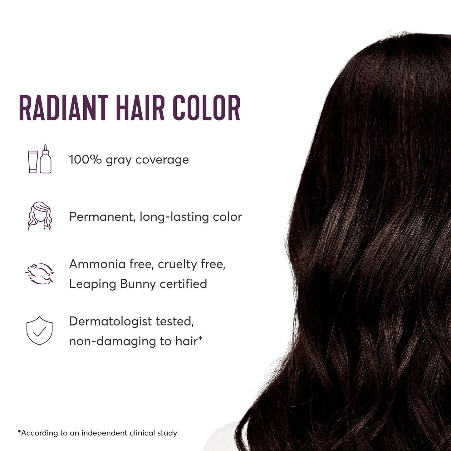 Radiant Hair Color Kit