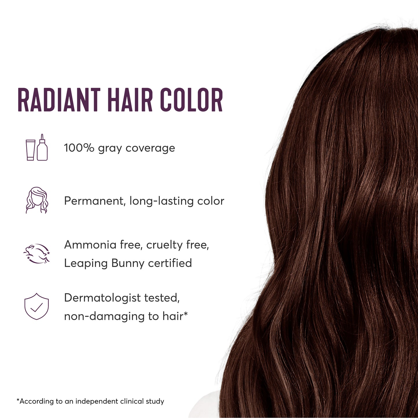 Radiant Hair Color Kit