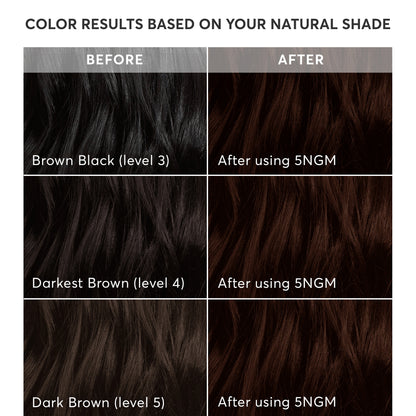 Radiant Hair Color Kit