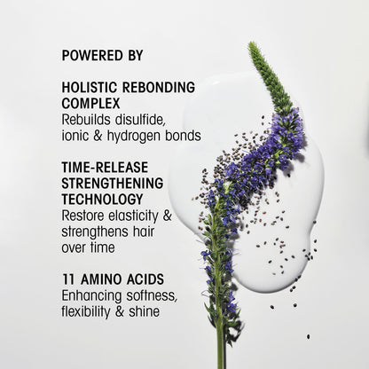 Hair Alchemy Bond Building Elixir