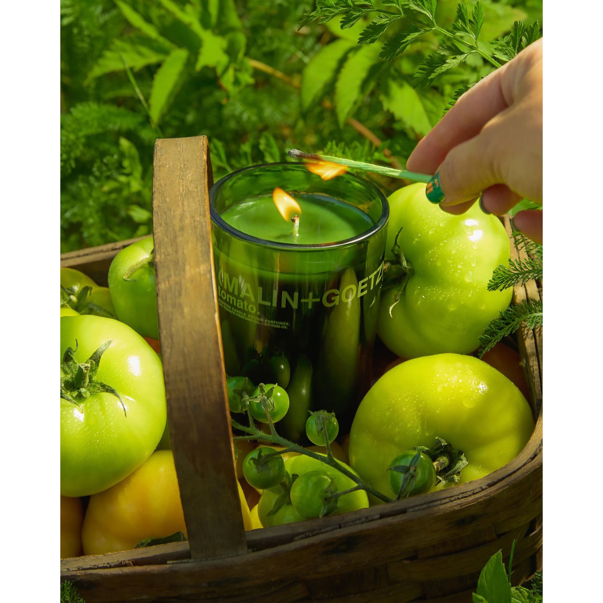 tomato candle limited edition