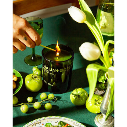 tomato candle limited edition