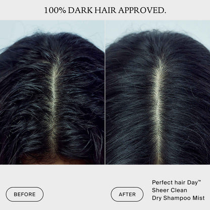 Sheer Clean Dry Shampoo Mist