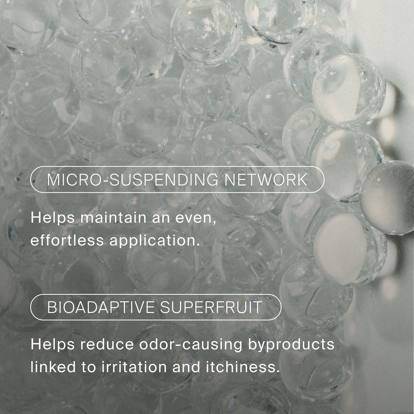 Sheer Clean Dry Shampoo Mist
