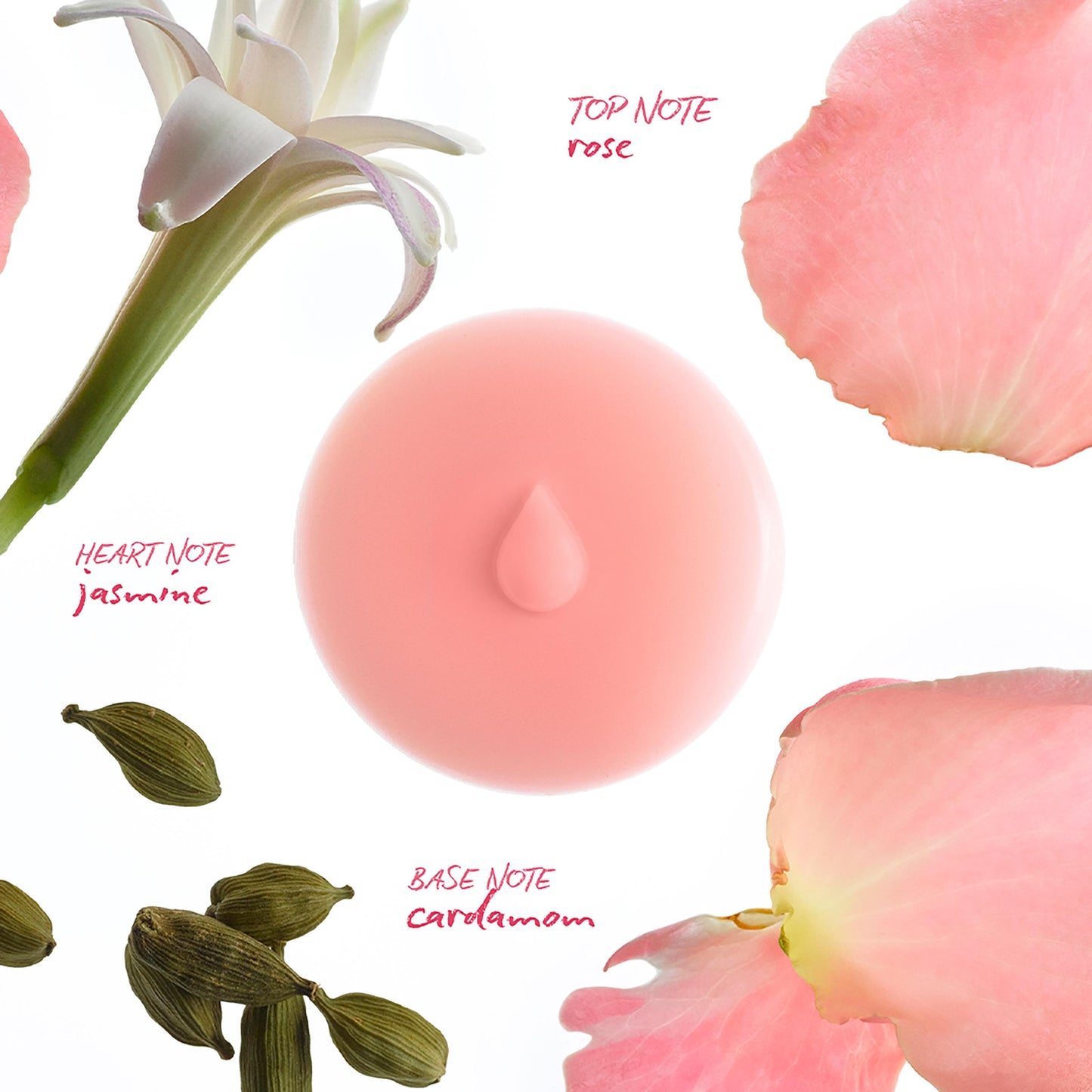 Rose Scented Wax Melts
