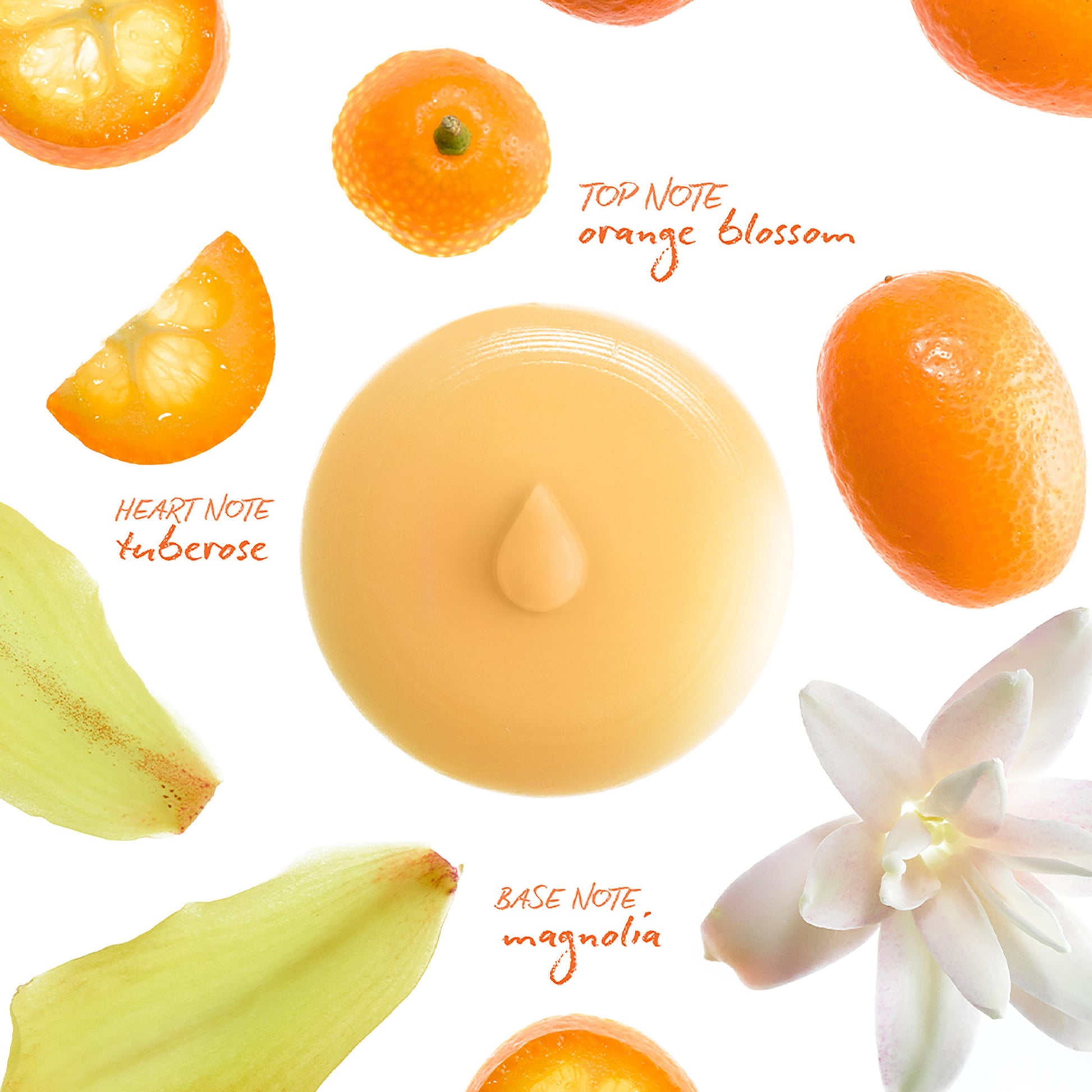 Orange Blossom Scented Wax Melts