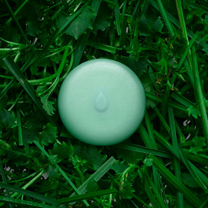 Green Grass Scented Wax Melts