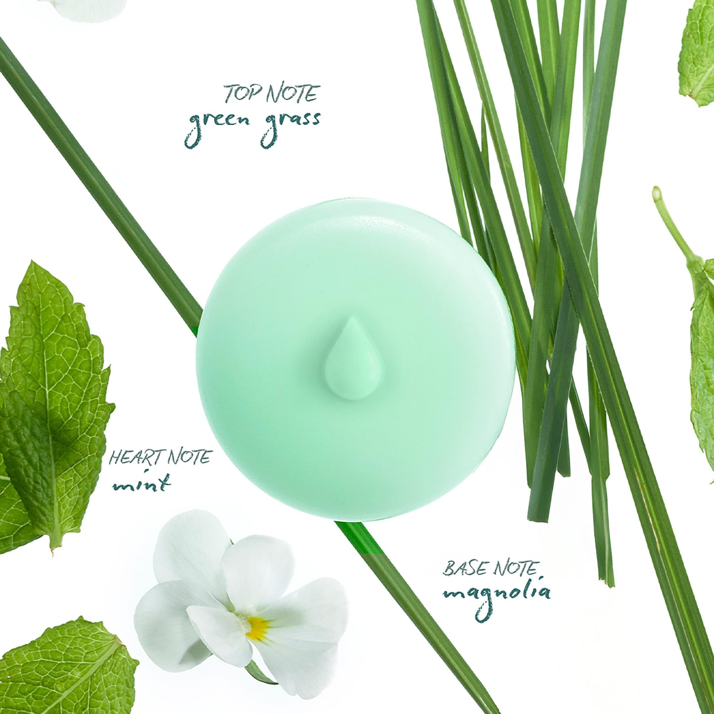 Green Grass Scented Wax Melts