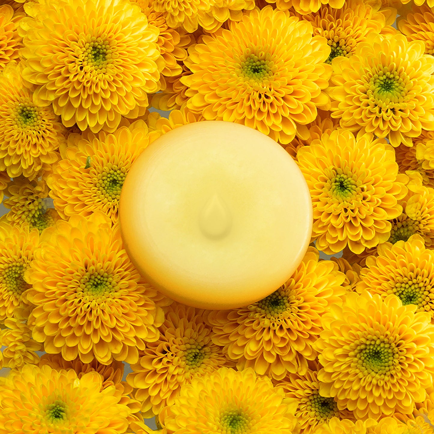 Mimosa Scented Wax Melts