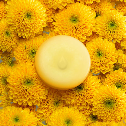 Mimosa Scented Wax Melts