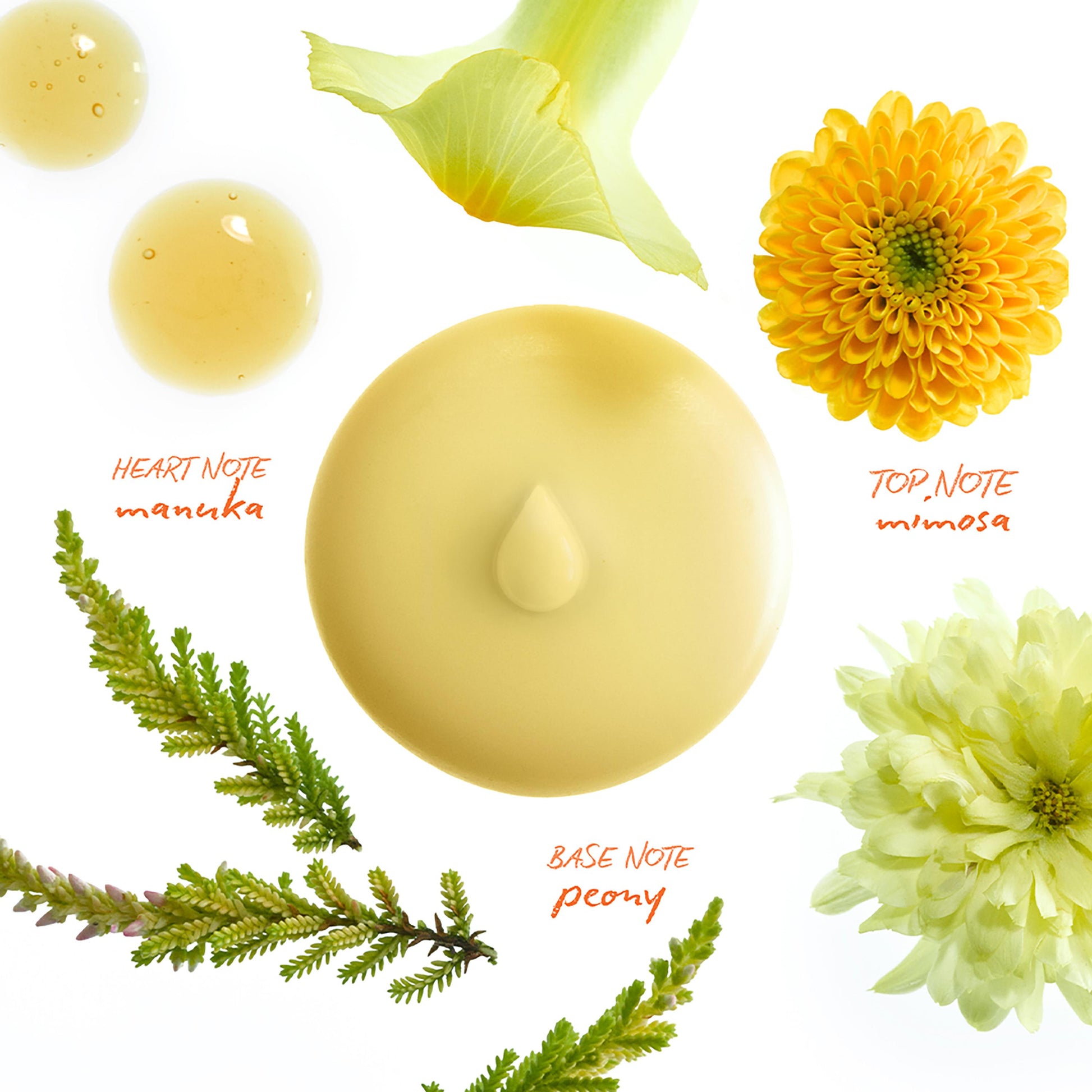 Mimosa Scented Wax Melts