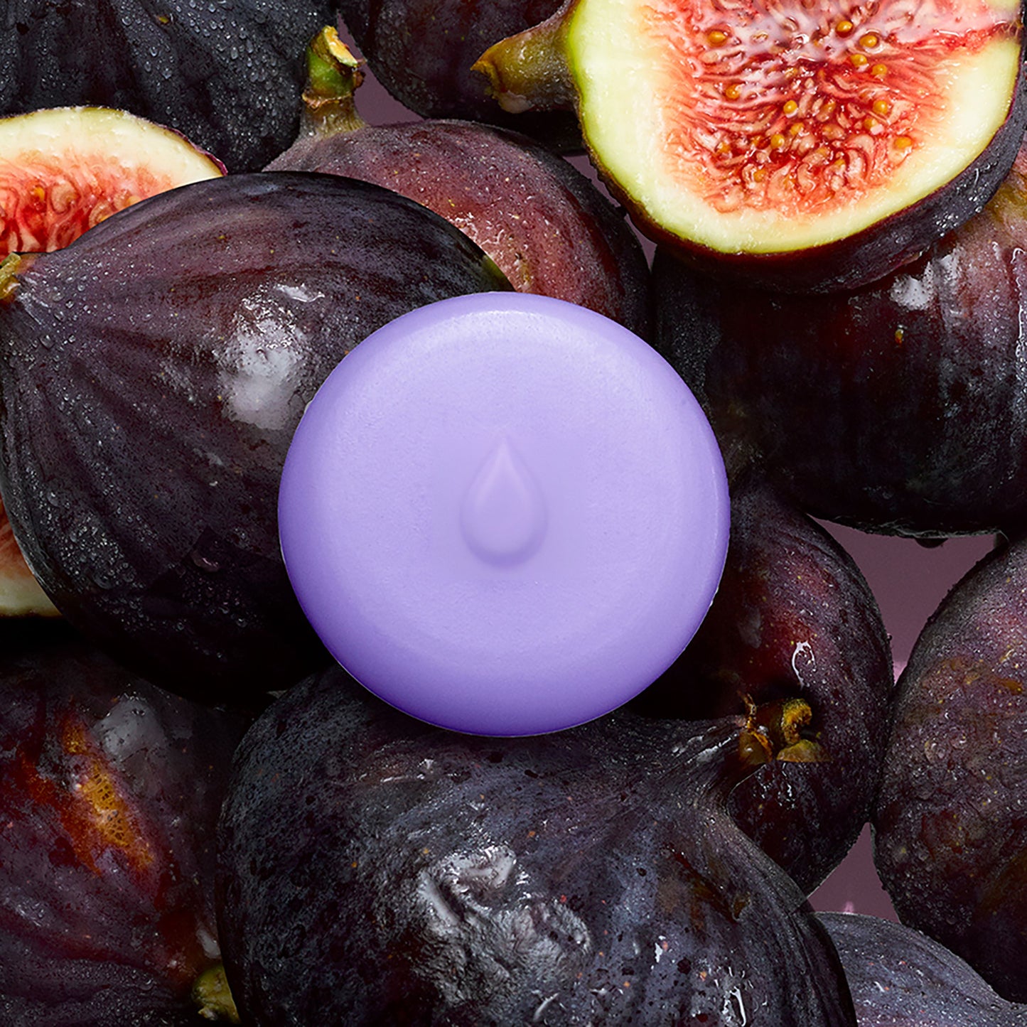 Fig Leaf Scented Wax Melts
