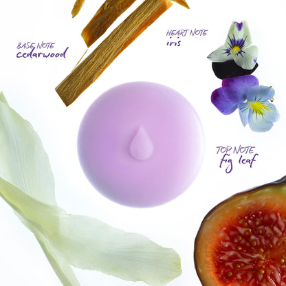 Fig Leaf Scented Wax Melts