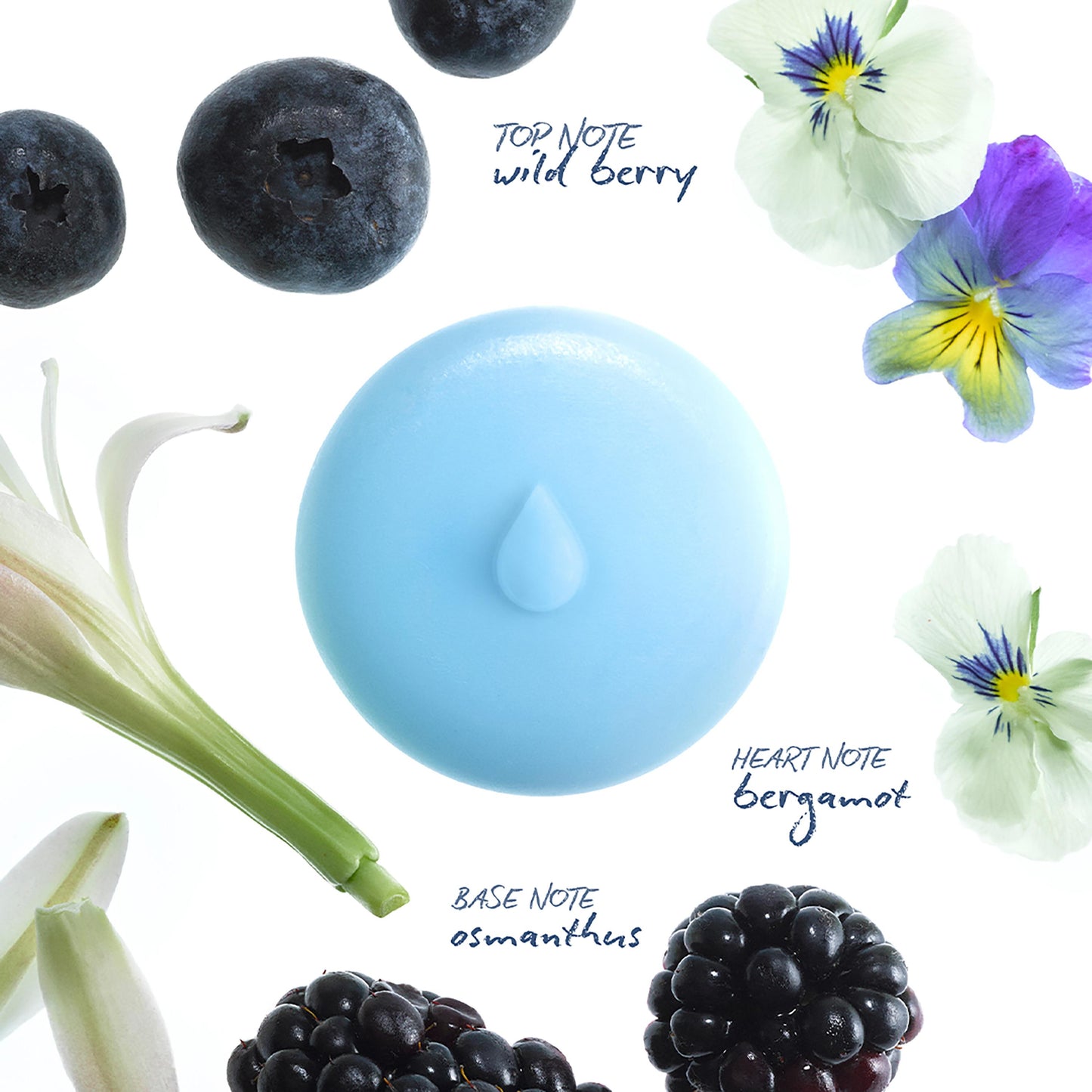 Wild Berry Scented Wax Melts