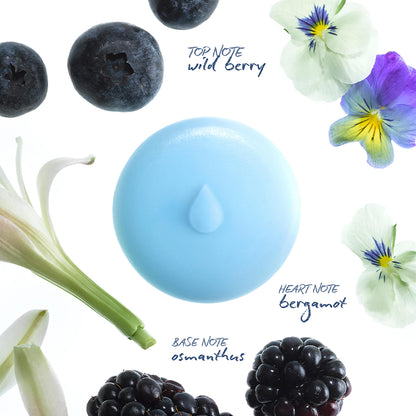 Wild Berry Scented Wax Melts