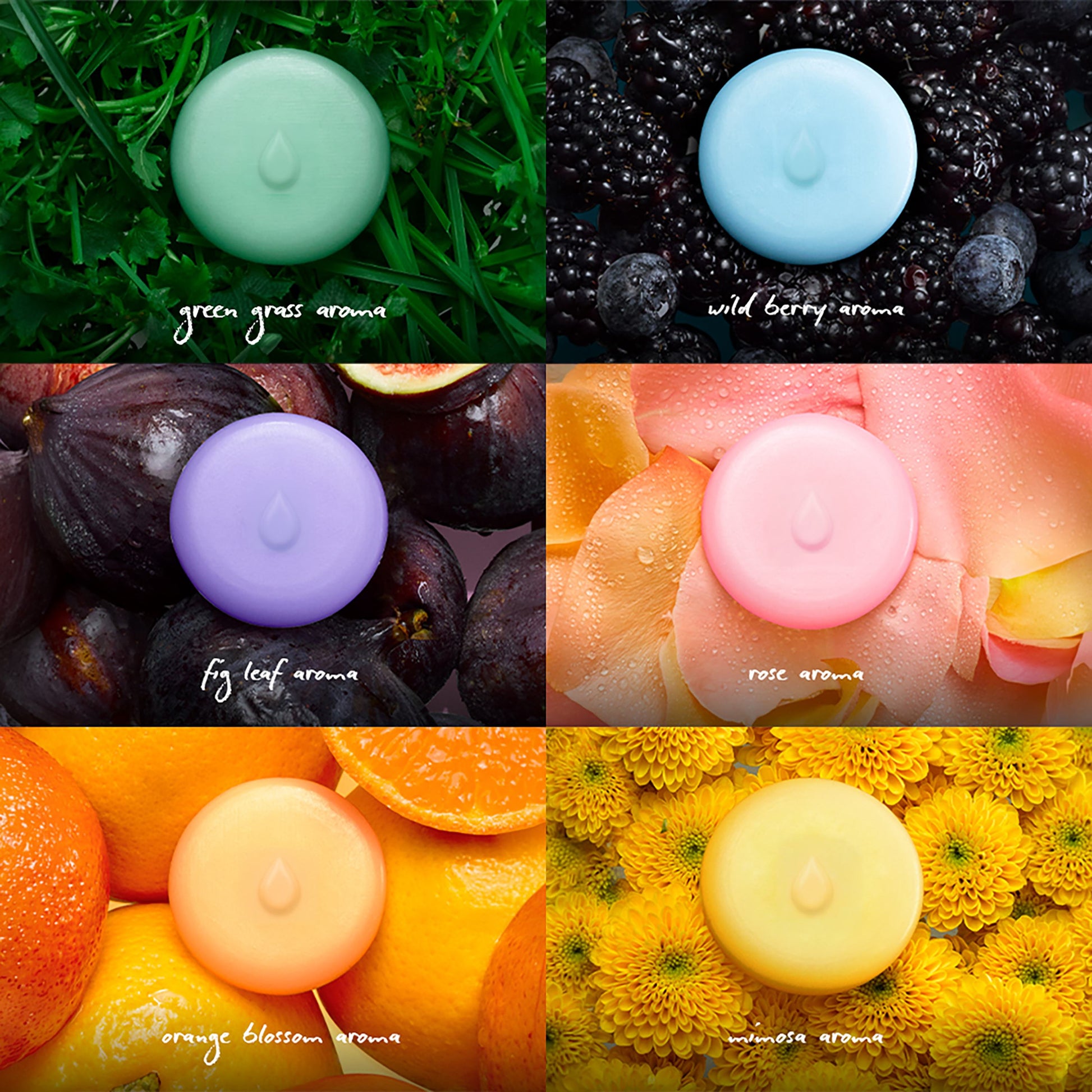 Scented Wax Melts Sampler