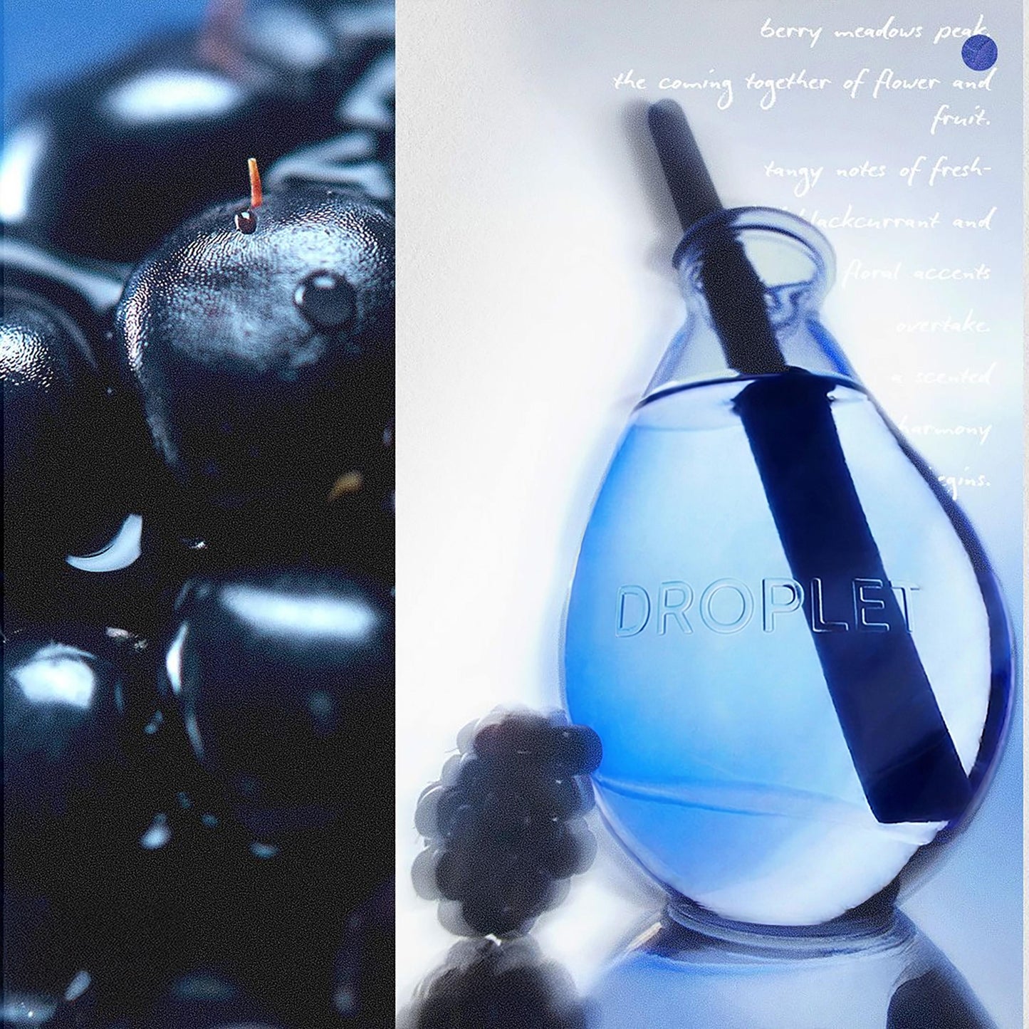 Wild Berry Reed Diffuser