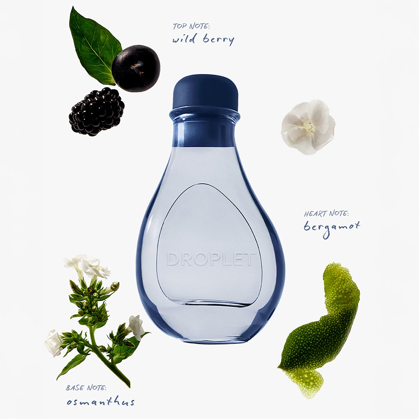 Wild Berry Reed Diffuser