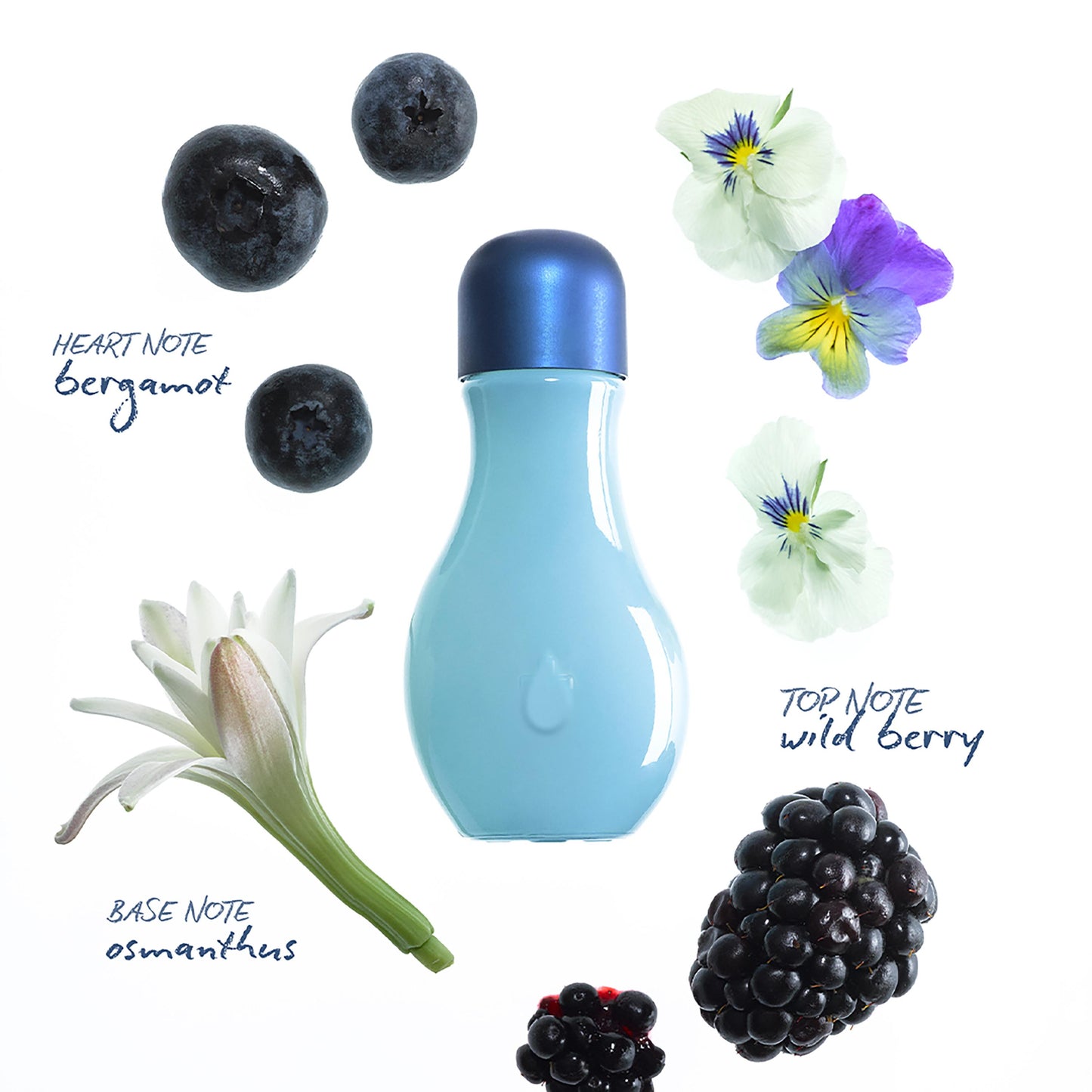 Wild Berry Scented Oil