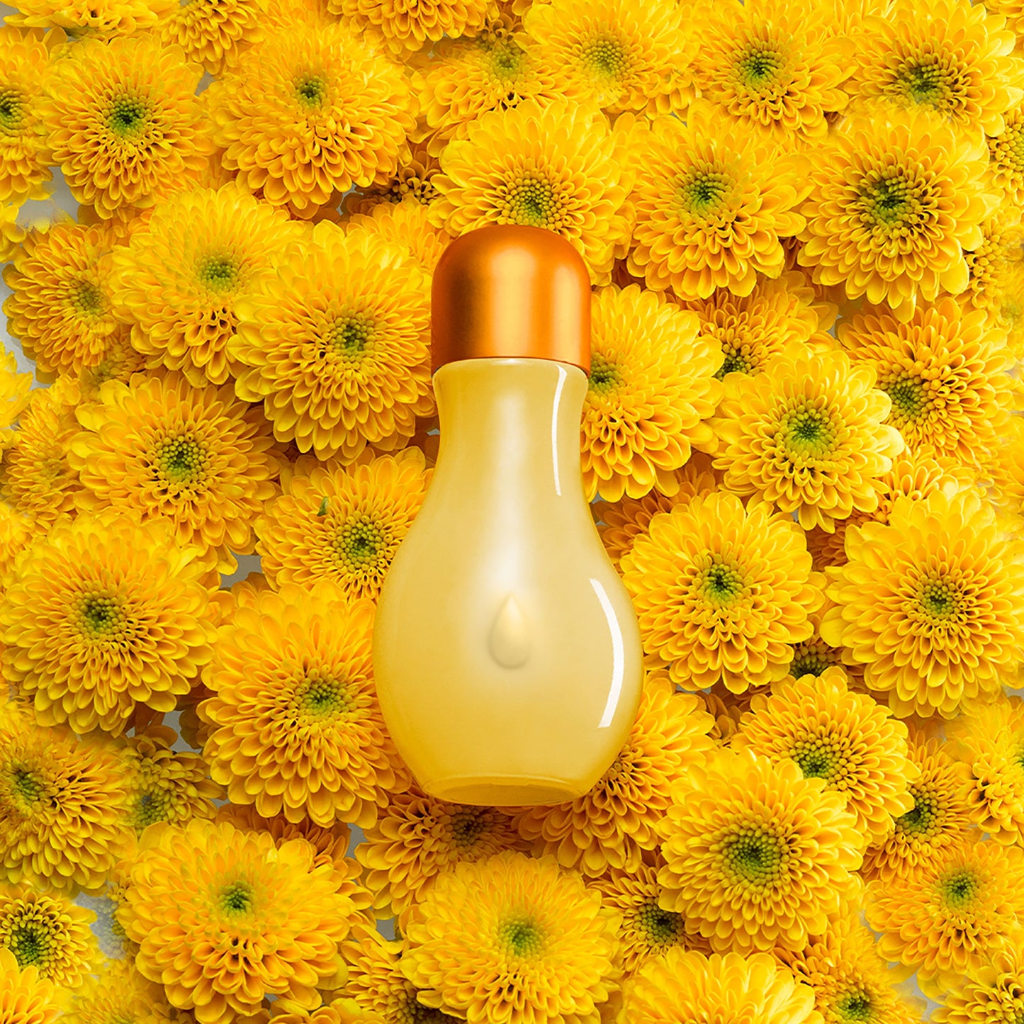Mimosa Scented Oil