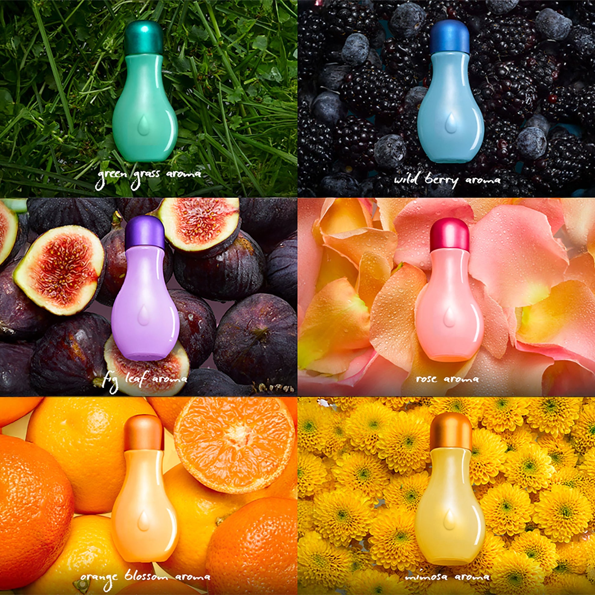 Scented Oils Multipack