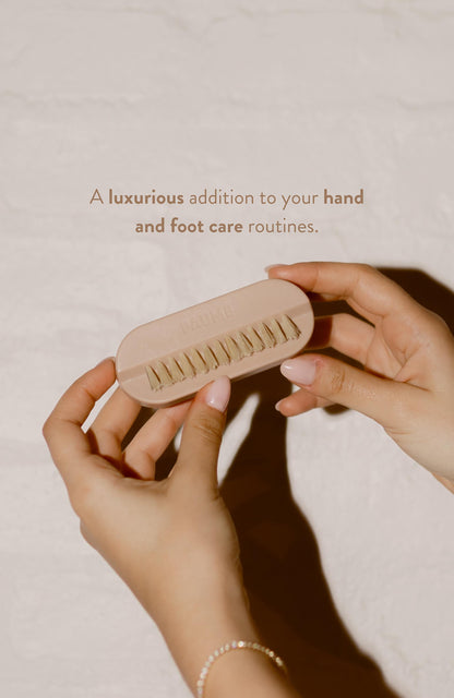 Hand and Nail Brush