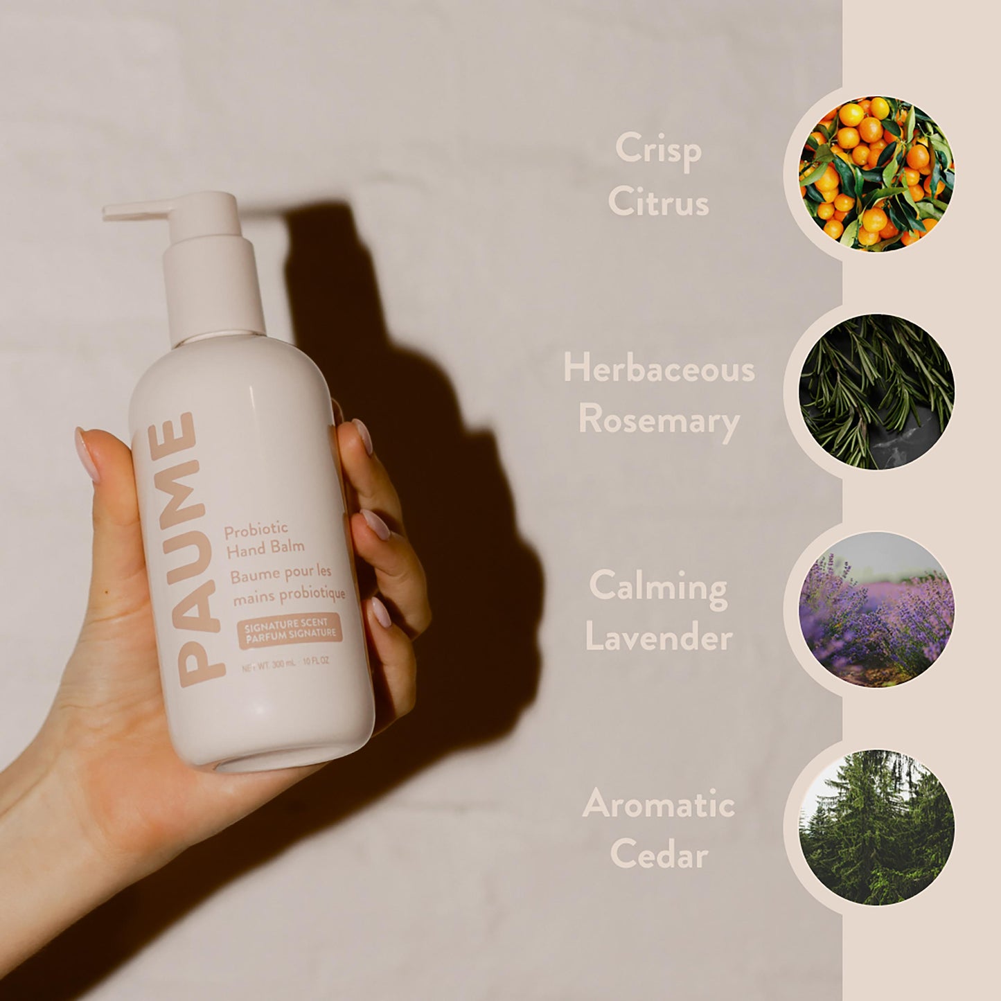 Probiotic Hand Balm