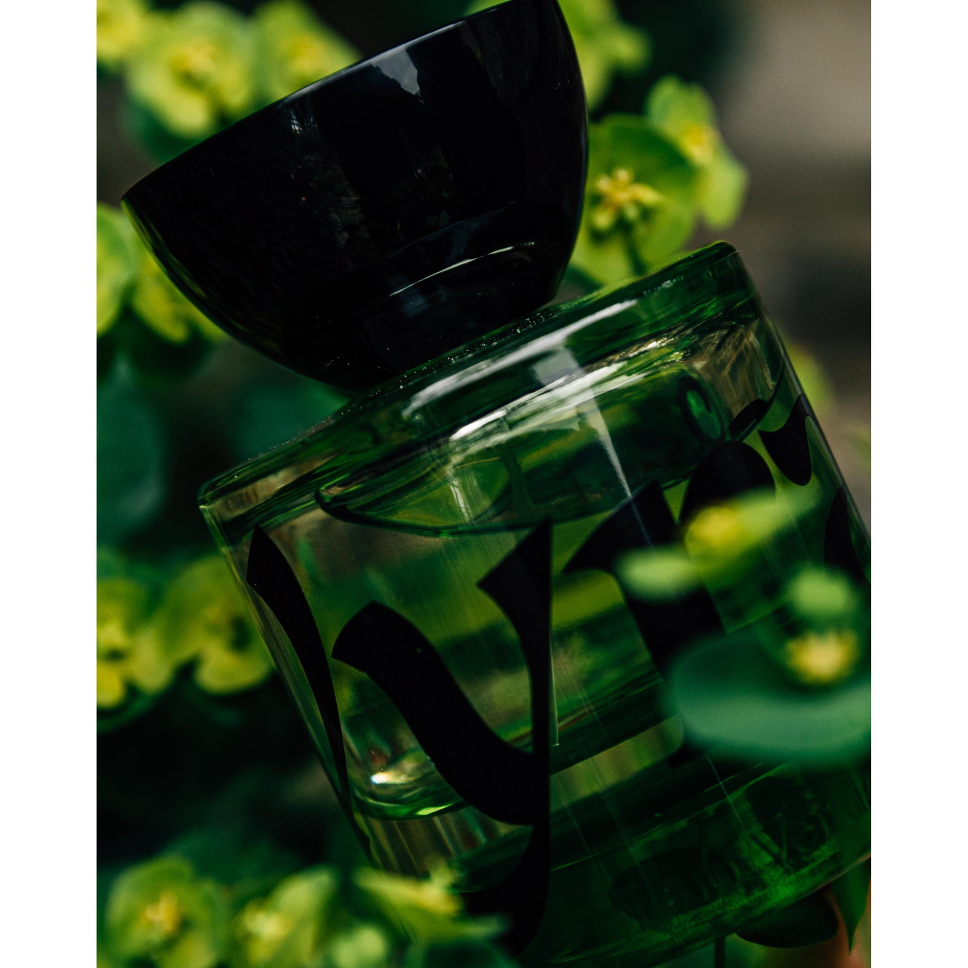 I am Verdant EDP for Transformation & Renewal