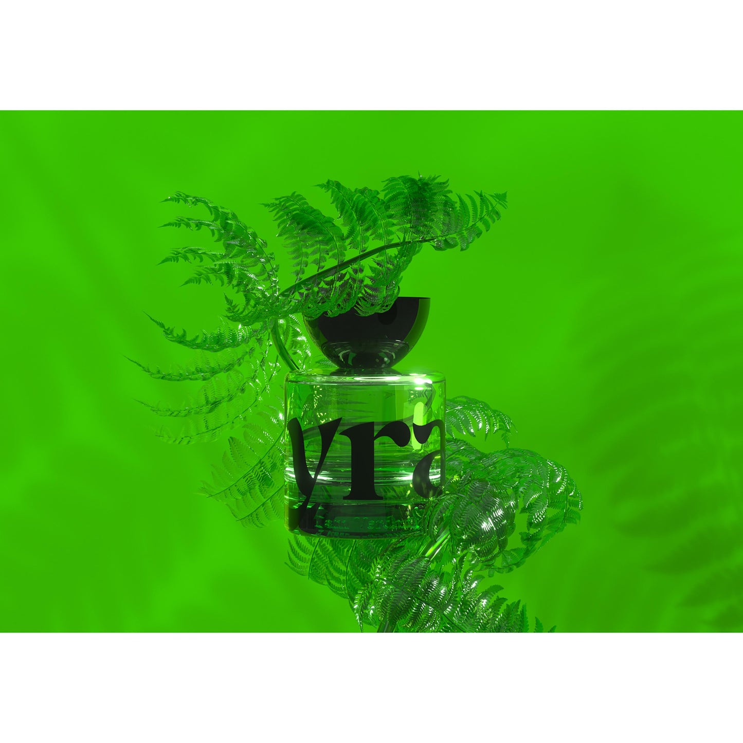 I am Verdant EDP for Transformation & Renewal