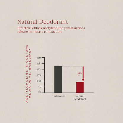 Natural Deodorant Refill
