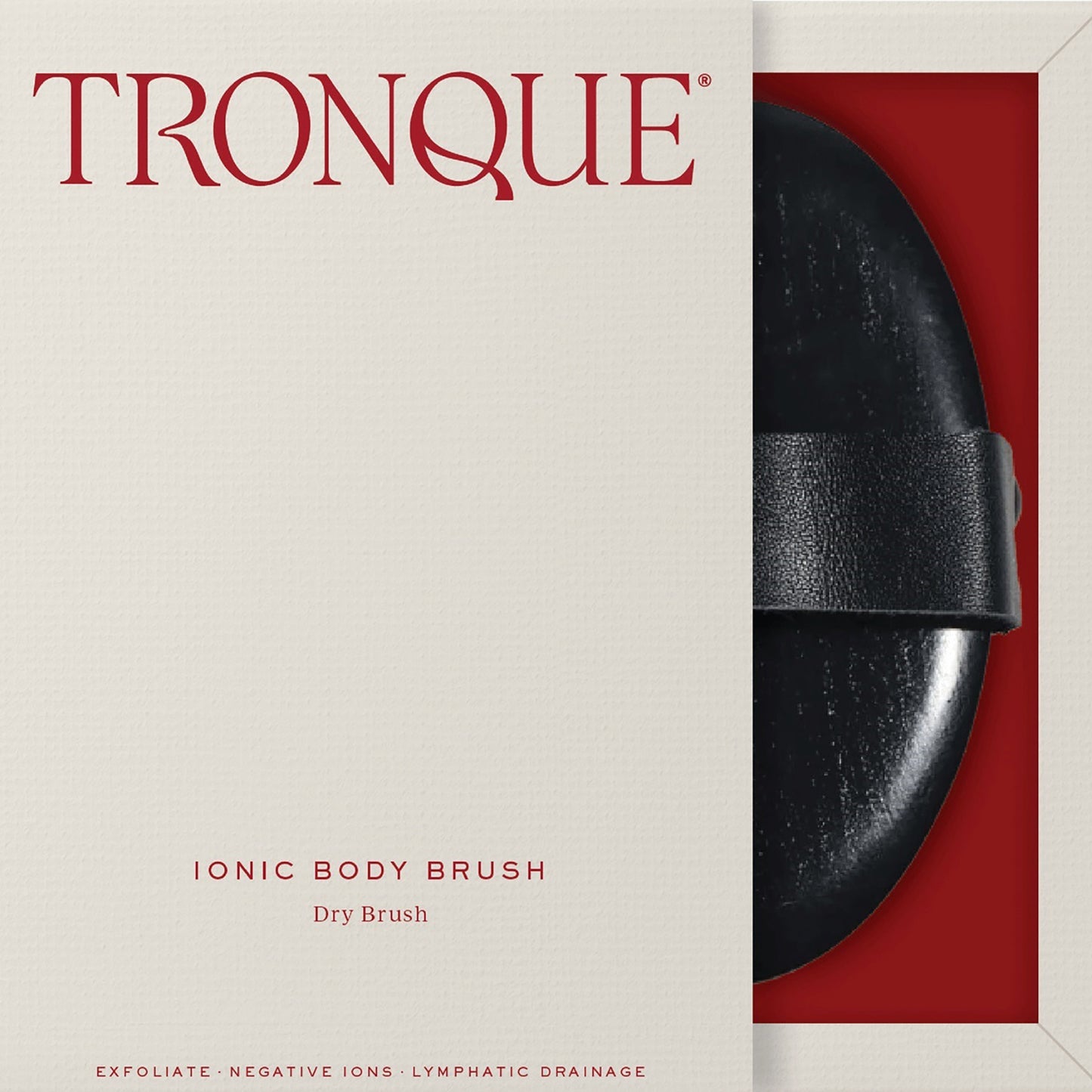 Ionic Dry Body Brush