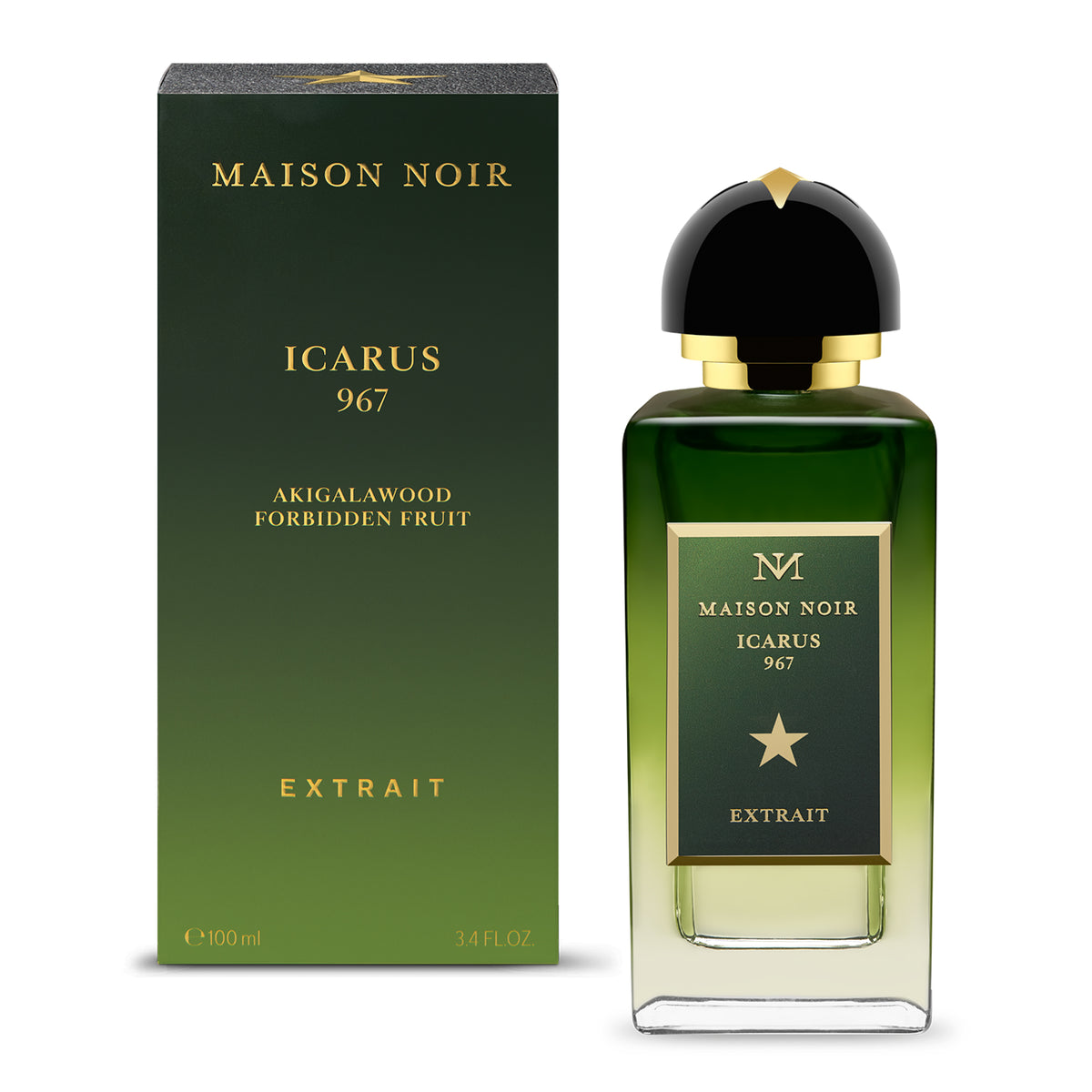 Icarus 967 Extrait